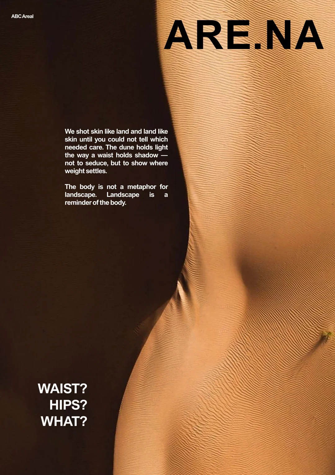 ABC AREAL poster by Toluwalope Opaleye, variation 17